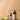Gondwana Botanicals For Him Bundle
