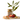 Macadamia Seasoned Crumb - Joy (125g)